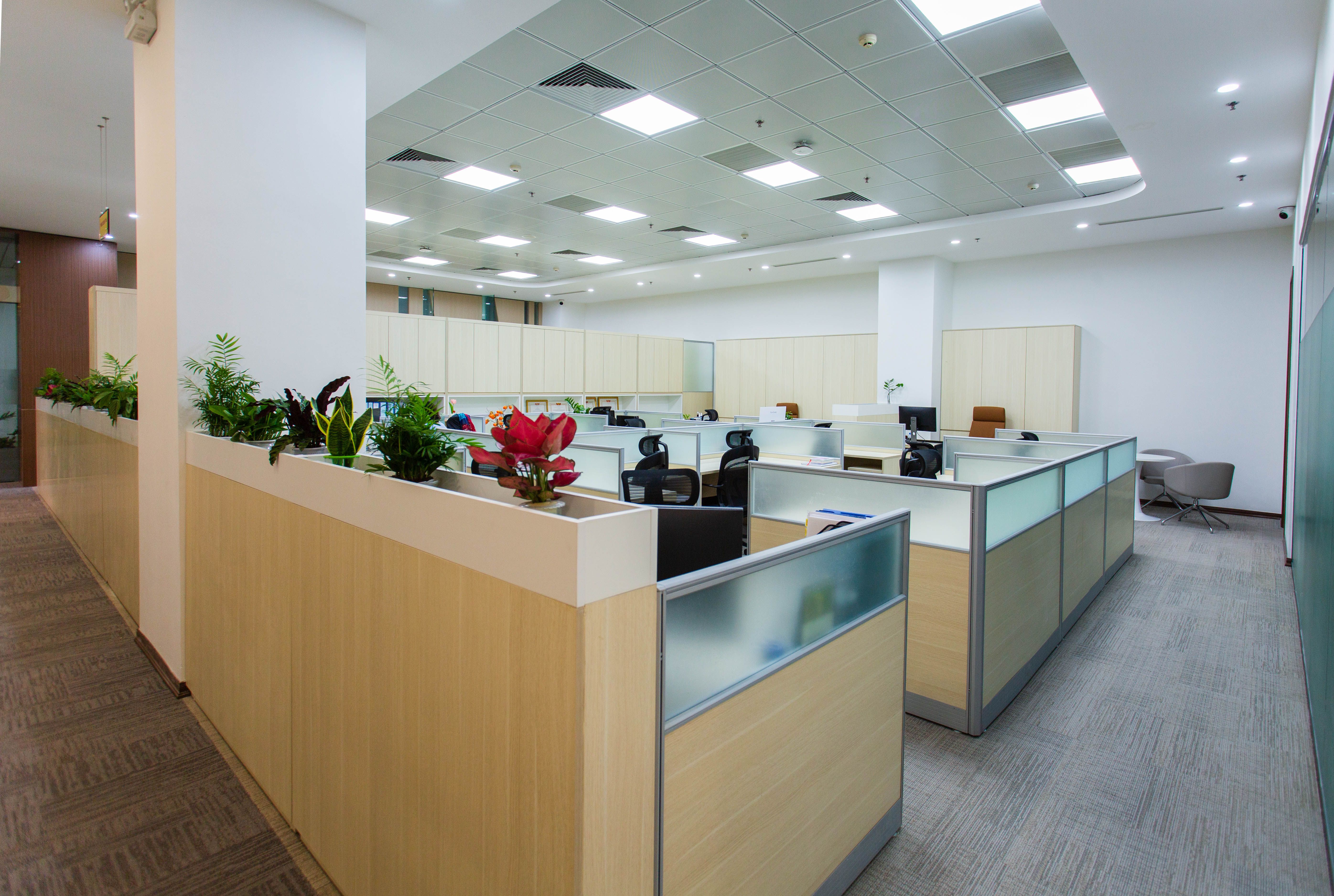 Brand Mindz office